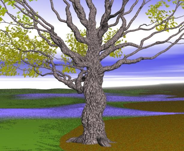 Pov-ray model of oak tree