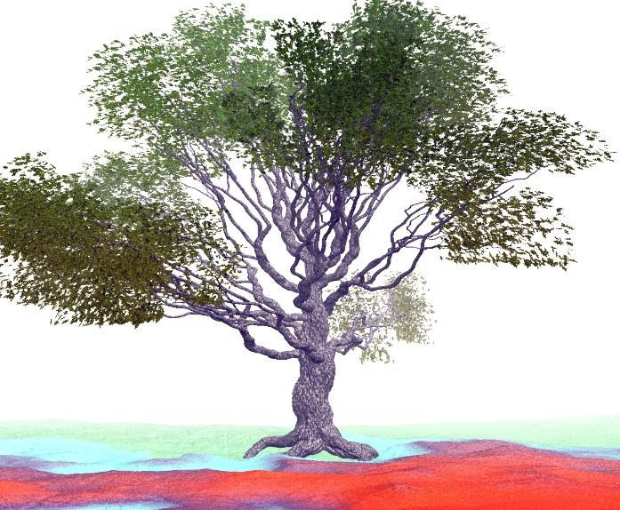 Pov-ray model of an oak tree