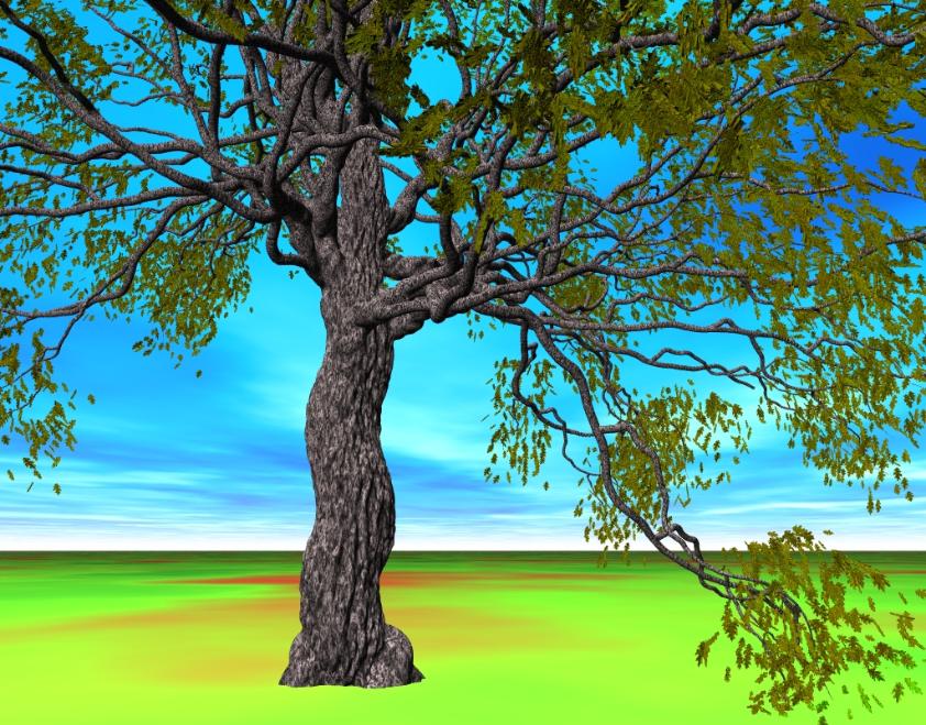 oak tree, Pov-Ray model