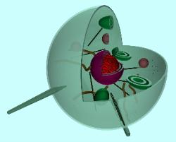 CellTech_link