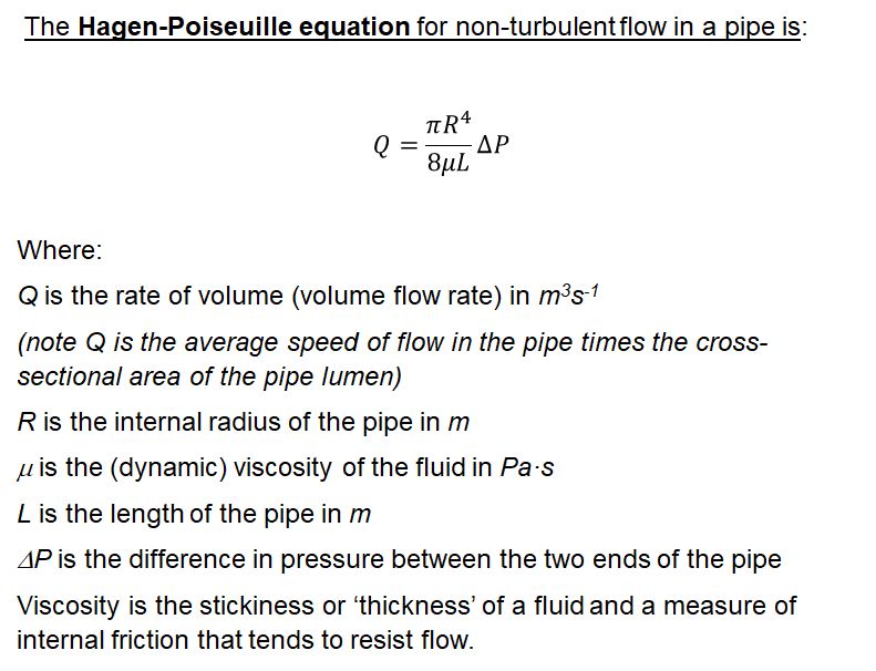 Flow velocity in xylem