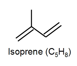 isoprene unit