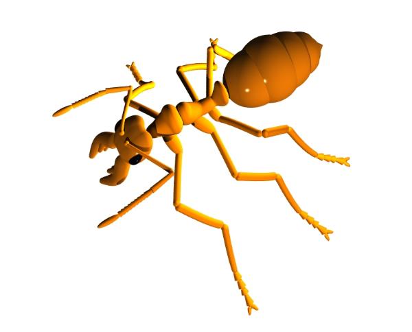Ant model