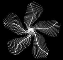 Crinoid 5