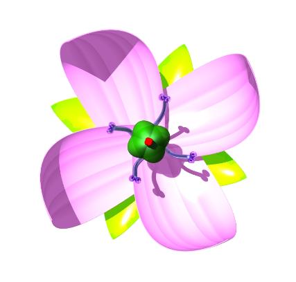 Flower modle