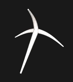 Tetraxon