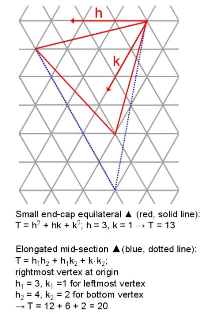 T4: triangulation of capsid mid-section