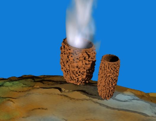 Barrel sponge releasing sperm