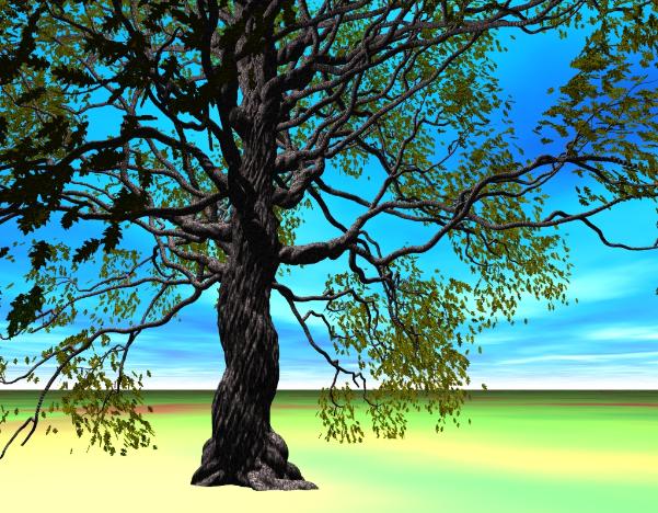 Oak tree: Pov-Ray model