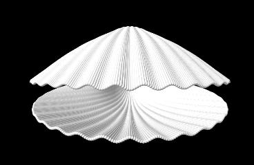 scallop shell (Pov-Ray model)