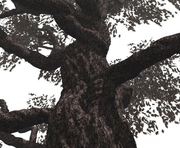 Pov-Ray model tree canopy