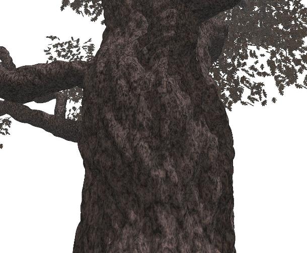 Pov-Ray model tree trunk